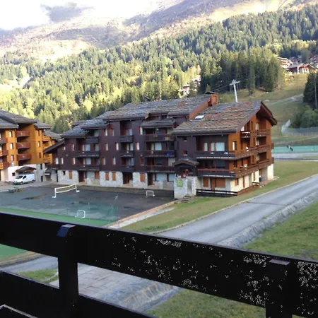 Skis Aux Pieds, Animaux Admis, Balcon Sud - Fr-1-356-522 * Valmorel