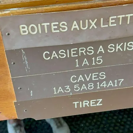 Skis Aux Pieds, Animaux Admis, Balcon Sud - Fr-1-356-522